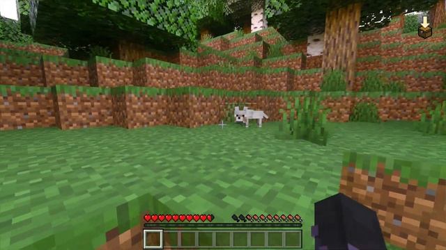 Minecraft Fungi Forest RTX (Kelly's RTX Normals 2.1) смотреть онлайн