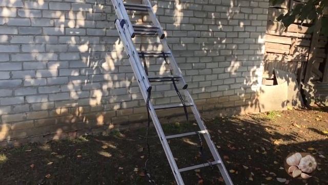 ПОСАДКА ВОЗДУШНОЙ БУЛЬБОЧКИ ЧЕСНОКА смотреть онлайн
