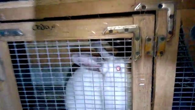 Ночной обход в 23-00 . Где я пропал ?! смотреть онлайн