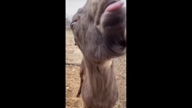 Satisfying Videos Compilation 2023 / Amazing People And Tools / Creative Machines #18