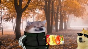 Гав-Гав каже пес