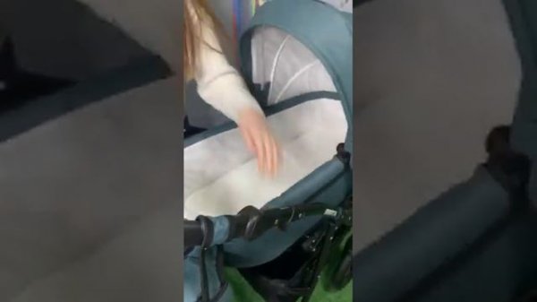 Коляска BERTA 2в1 (Alis)