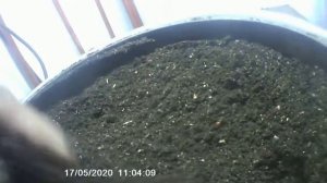 Дальнейшее использование отсева в субстрате