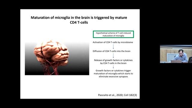 T19 Dr. Alexey Bolshakov "Molecular Mechanisms of CNS Formation" IHNA/iBRAIN смотреть онлайн