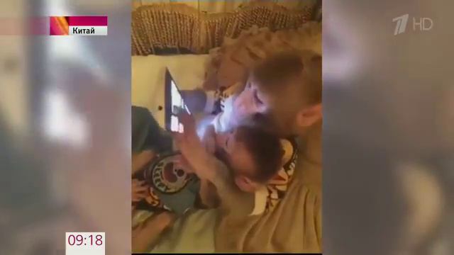 Обезьянки, увлеченно играющие в планшет, стали звездами инте смотреть онлайн
