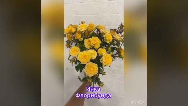 Инка. Флорибунда. смотреть онлайн