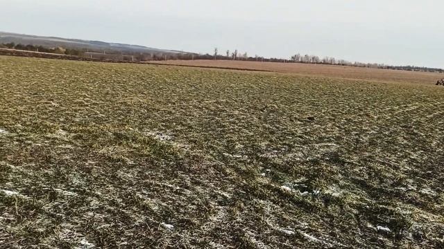 ЮМЗ 6 Внесення міндобрив... РУМ500 (07.03.21) смотреть онлайн