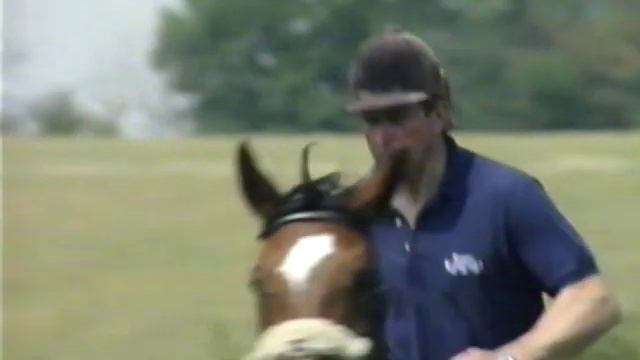 Nick Skelton - Starting Off смотреть онлайн