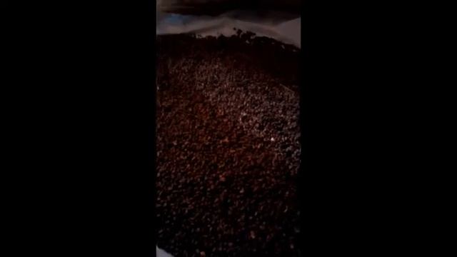 Кедровый орех (26.10.19) смотреть онлайн