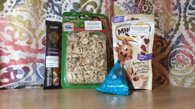 ИГРУШКА ЗА 1000 РУБЛЕЙ?/мои покупки для собаки с зоомагазина/3 смотреть онлайн