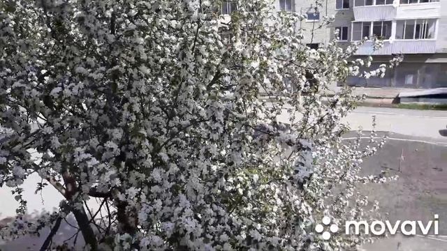 День со мной/Рутина/ Роллы? смотреть онлайн