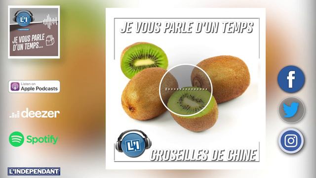 🎧🥝 LES GROSEILLES DE CHINE DU ROUSILLON - JE VOUS PARLE D'UN TEMPS смотреть онлайн
