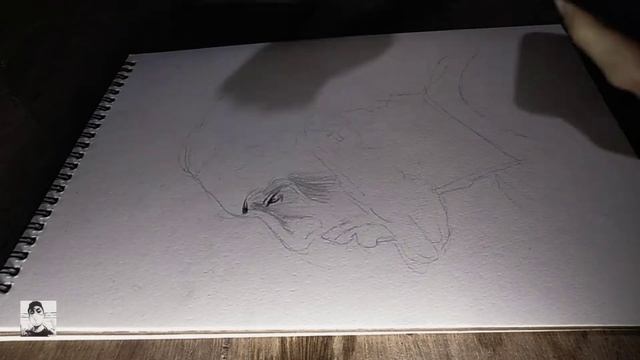 Rudy Gobert || Utah Jazz || NBA || Fast Sketch смотреть онлайн