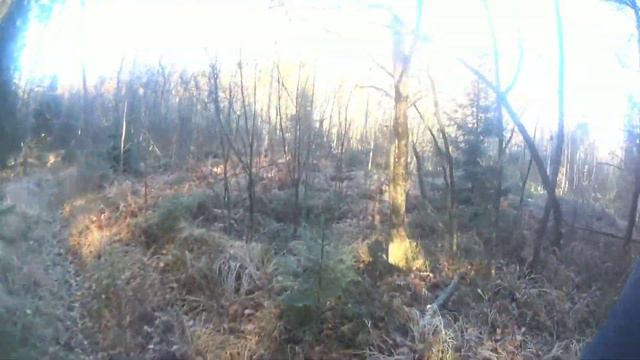 Манок на Рябчика. И испытания его.#манок#рябчик#охота# смотреть онлайн