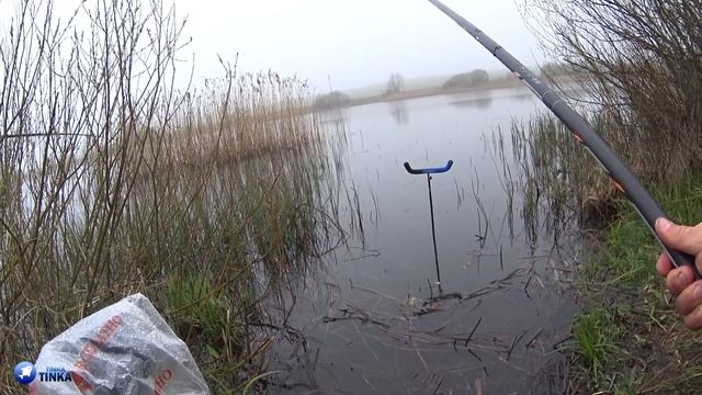 САМАЯ УЛОВИСТАЯ НАЖИВКА НА ВСЮ РЫБУ- ЭТО ЧЕРВЬ!КРУПНЫЙ КАРАСЬ, ЩУКА, ОКУНЬ.ЛОВЛЯ НА ПОПЛАВОК В ДОЖД смотреть онлайн