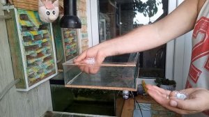 Как сделать антипобег, проверенный годами.