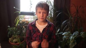 Реснитчатый бананоед, как правильно завести дома, как содержать бананоеда, как кормить бананоеда