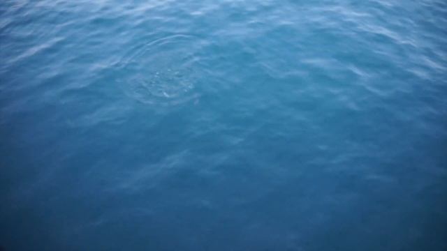 Рыбалка море Сочи смотреть онлайн