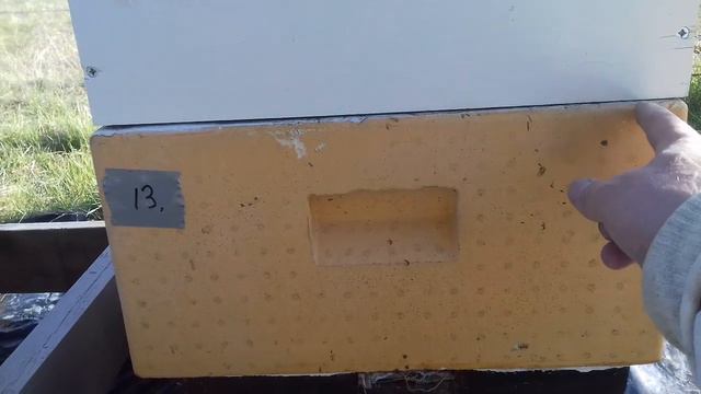 УСЛЫШ = СССР.ПРОТИВ РАЕВ И ВАРАТОЗА. смотреть онлайн