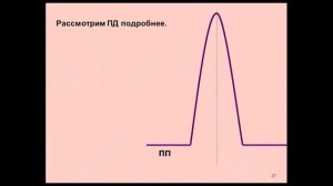 Вячеслав Дубынин «Химия» мозга Лекция 2  «Электричество» мозга