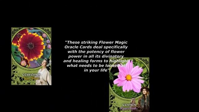 Flower Magic Oracle Card Deck смотреть онлайн