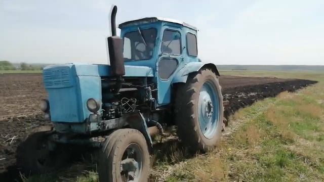 ПАШЕМ и КУЛЬТИВИРУЕМ на тракторе Т40 смотреть онлайн