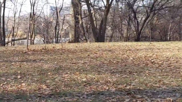 Extreme Winters - Frozen Lakes | Toronto, Canada | Sixty and Travelling смотреть онлайн