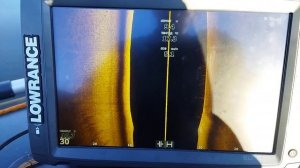 LOWRANCE ELITE TI-2, 12