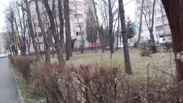 Плющ-паразит. Брашов. смотреть онлайн