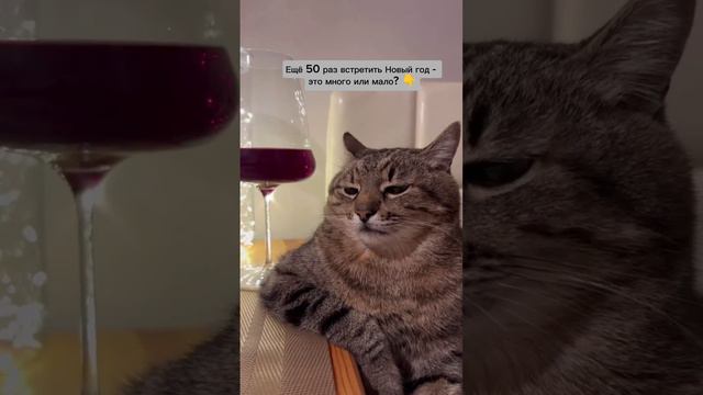 Кому бы вы хотели объясниться в любви? смотреть онлайн