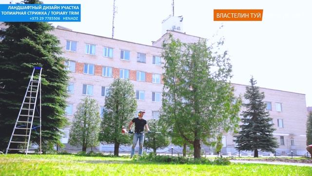 | ПОСАДИЛИ ПРИ СССР | @user-qs3ui4et9d |Хвойные СТРИЖКА ТОПИАР | Стрижка туи Минск | Беларусь | смотреть онлайн