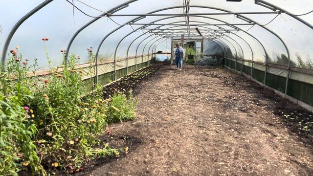 Top tips for sowing seed in the autumn for spring flowers смотреть онлайн