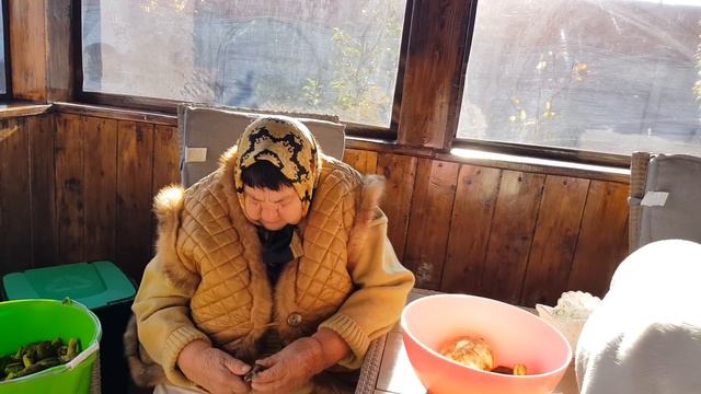 Бабушка 👵 чистит грибы 🍄! Долли на столе проверяет их съедобность смотреть онлайн
