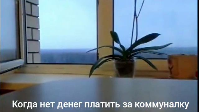 Когда нет денег платить за коммуналку смотреть онлайн