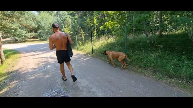 СТРАШНО! КТО ЗНАЕТ ЧТО У НЕГО НА УМЕ! нам очень нравится что получилось | серия 797 Черновы ТВ смотреть онлайн