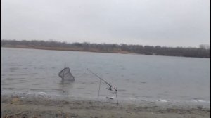 ловля пеленгаса на дону осенью.fishing in Russia on the Don river.mp4
