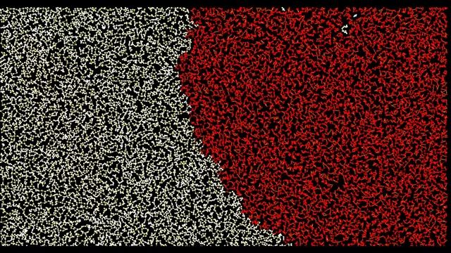BFS Visualization | 20,000 vertices | Graph Traversal | Python | Pygame смотреть онлайн
