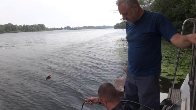 река Днепр 12.08.2016 смотреть онлайн