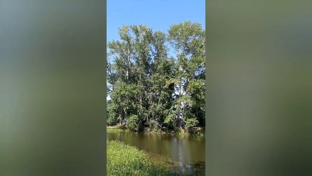 Северный Казахстан!!! Наша природа! 10 июля 2020 г. смотреть онлайн