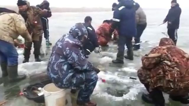 Багрильщики - страшная "сила"! :( НЕ рекомендуем такой способ ловли рыбы зимой со льда, это варвары смотреть онлайн