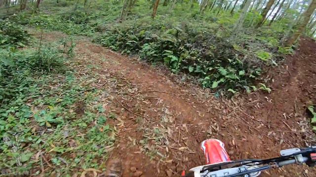 Eucaliptos em dia de barro é mais top ainda 🤘 | Lander 250 смотреть онлайн