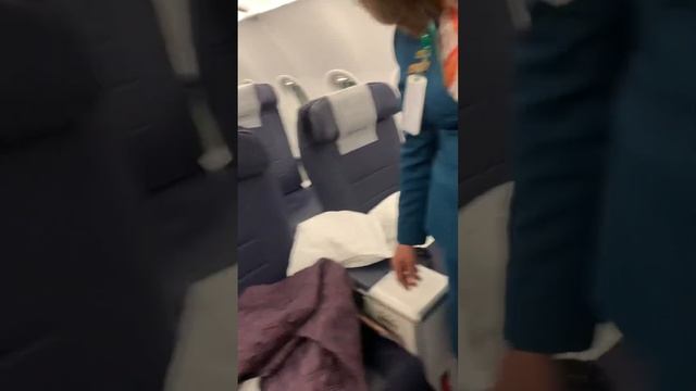 Сервис  стюардесс в Uzbekistan Airways #uzairways #uzbekistan #uzbek