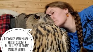 Сова - самая мягкая подушечка и самая милая!