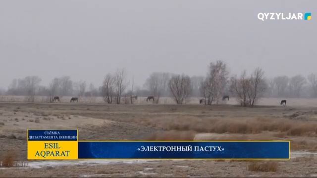 «ЭЛЕКТРОННЫЙ ПАСТУХ» смотреть онлайн