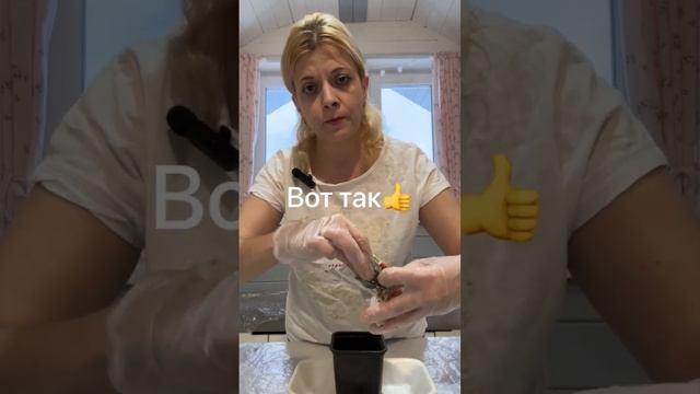 Укоренить голубую ель сможет каждый.#ель #голубаяель #елка #растения #сад #растениеводство #садовод смотреть онлайн