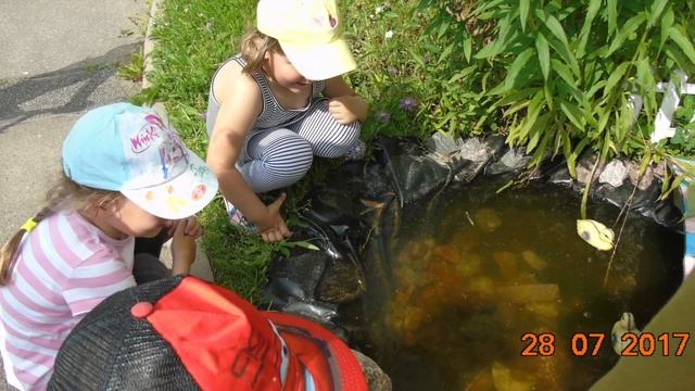 Ребёнок на экологической тропе смотреть онлайн