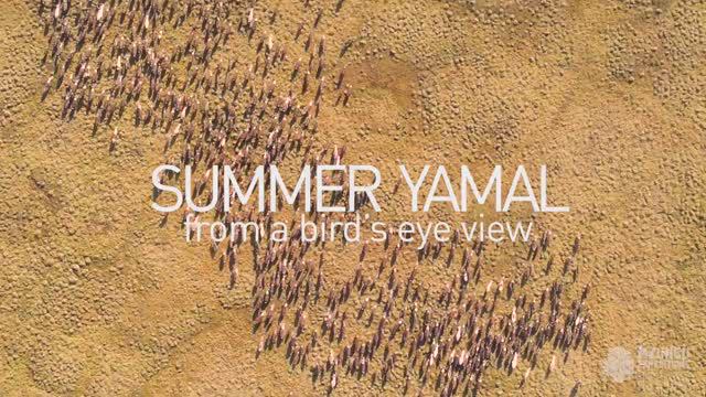 SUMMER YAMAL from a bird's eye view/ЛЕТНИЙ ЯМАЛ с высоты птичьего полета смотреть онлайн