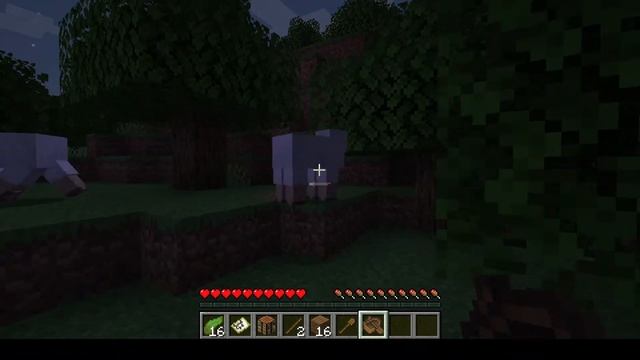 Seth-Gamer Minecraft Java Edition First Live Stream смотреть онлайн
