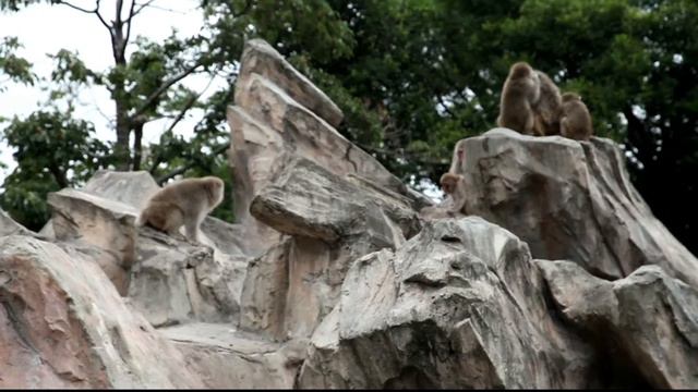 Путешествие в Японию. Часть 7 смотреть онлайн