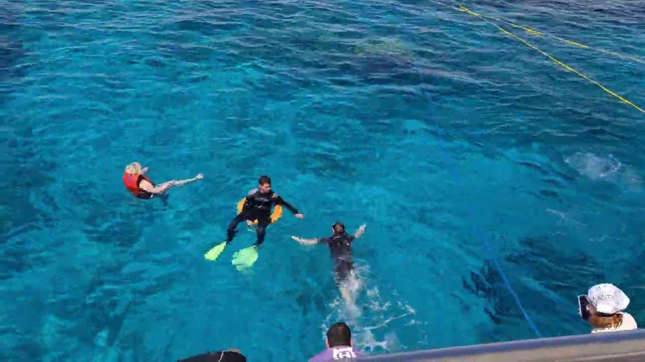 Египет. Шарм-Эль-Шейх. Морская прогулка смотреть онлайн